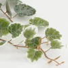 Mica Decorations kunsthangplant Chinees Lantaarnplantje witbont H 71 cm