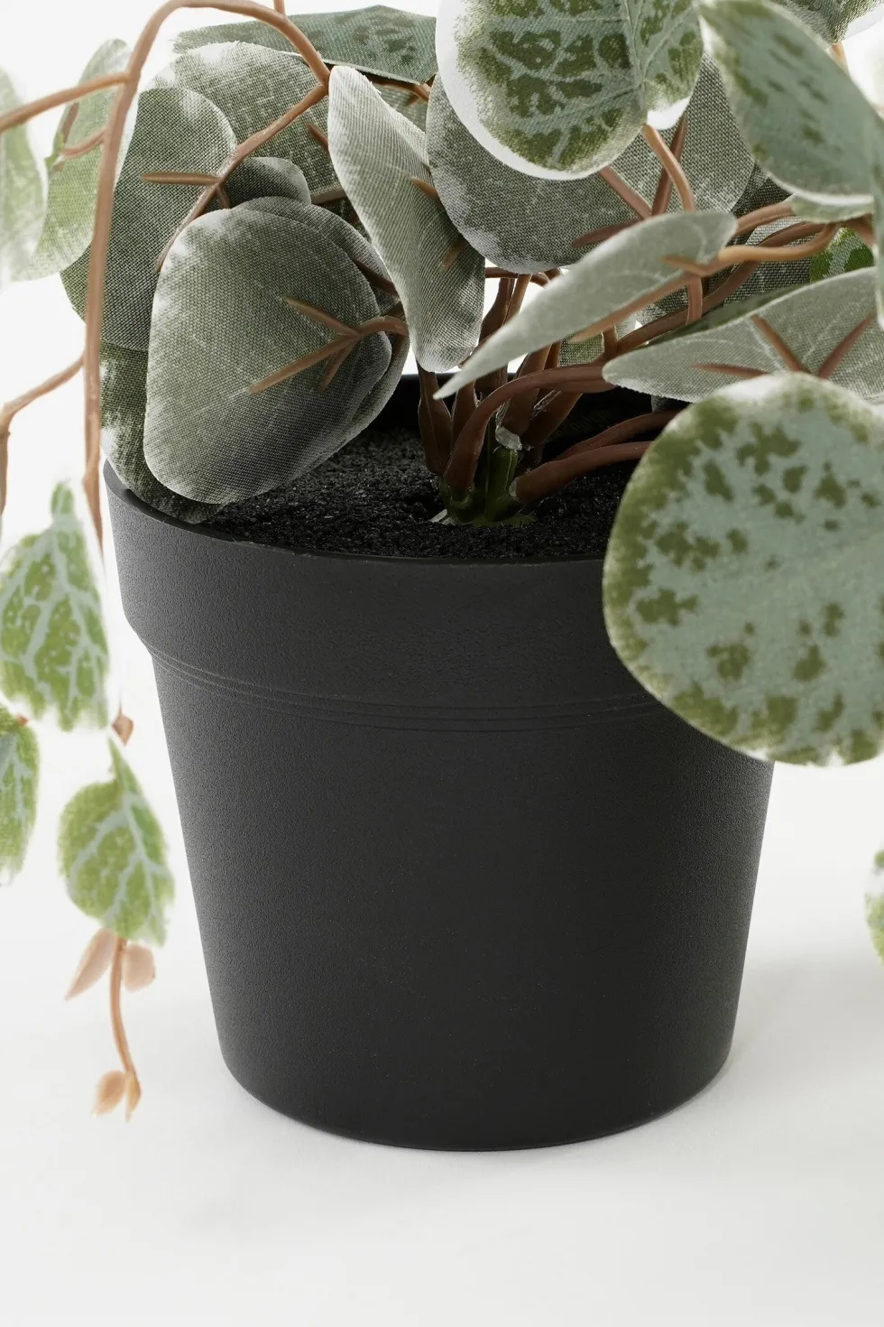 Mica Decorations kunsthangplant Chinees Lantaarnplantje witbont H 71 cm