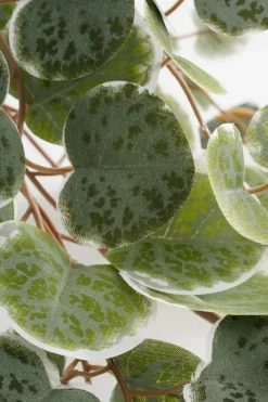 Mica Decorations kunsthangplant Chinees Lantaarnplantje witbont H 71 cm