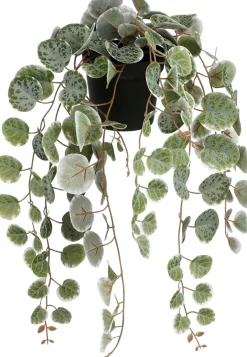 Mica Decorations kunsthangplant Chinees Lantaarnplantje witbont H 71 cm