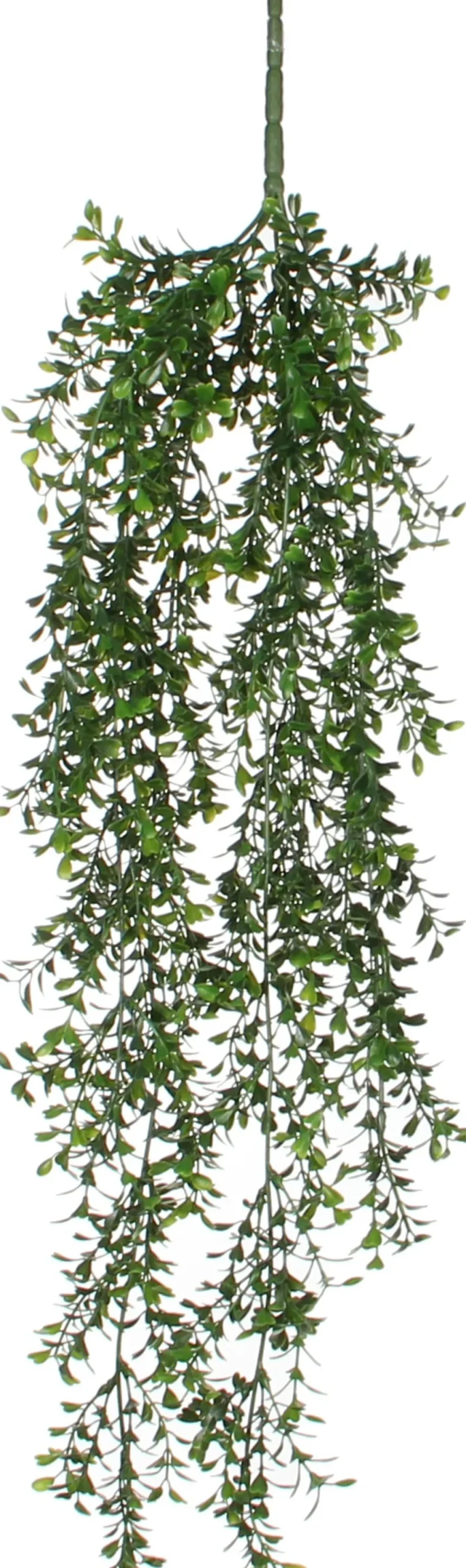 Mica Decorations kunsthangplant Buxus H 74 cm