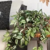 Mica Decorations kunsthangplant Vaderplant H 54 cm