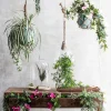Mica Decorations kunsthangplant Ficus H 81 cm