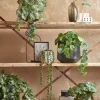 Mica Decorations kunsthangplant Erwtenplant H 71 cm