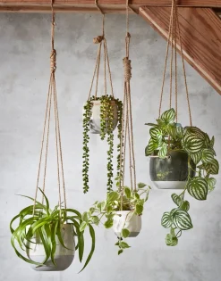 Mica Decorations kunsthangplant Erwtenplant H 71 cm
