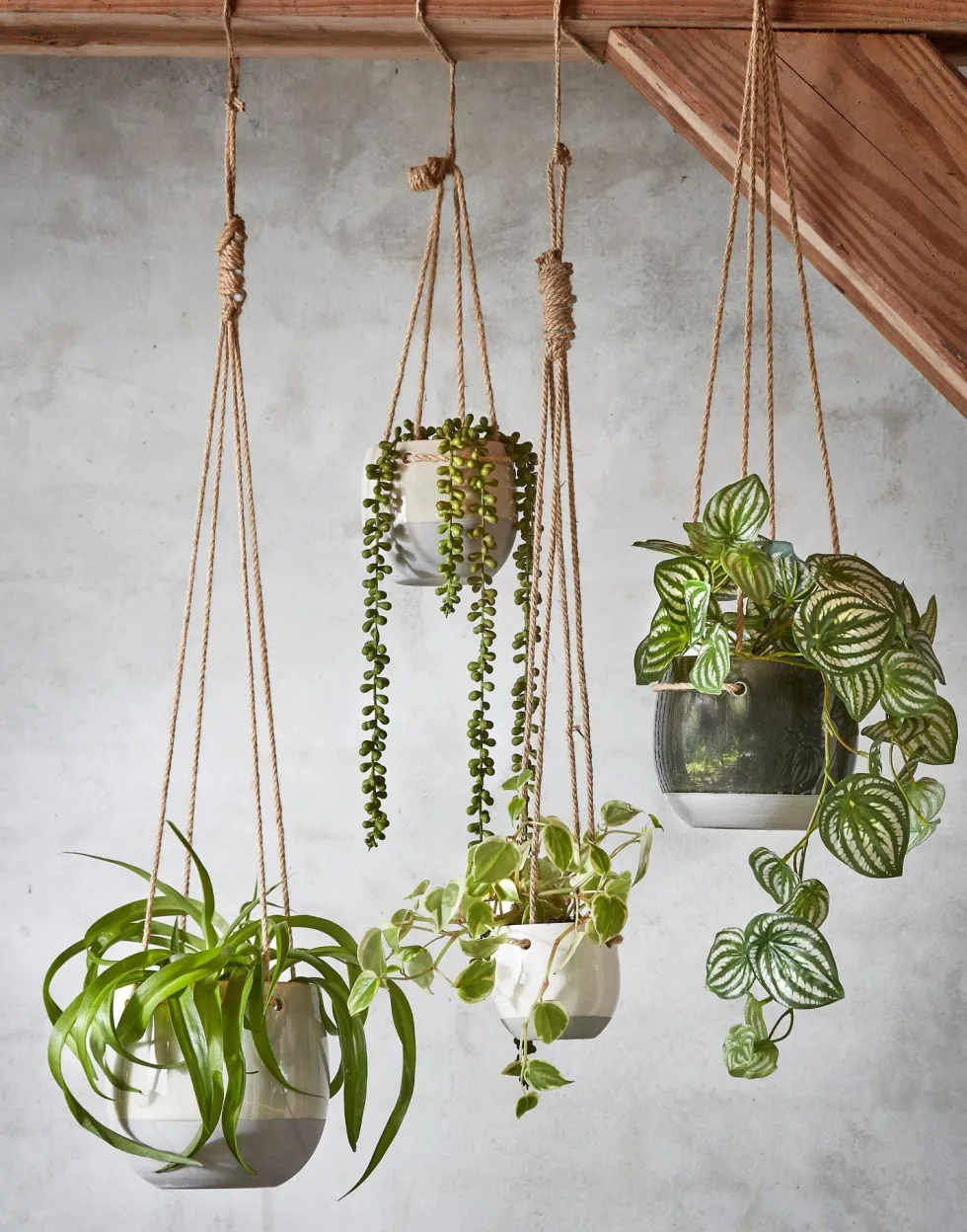 Mica Decorations kunsthangplant Erwtenplant H 71 cm