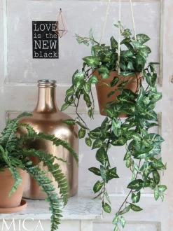 Mica Decorations kunsthangplant Fittonia H 54 cm
