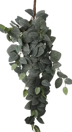 Mica Decorations kunsthangplant Fittonia H 54 cm