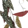 Mica Decorations kunsthangplant Stippenbegonia H 115 cm