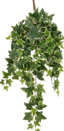 Mica Decorations kunsthangplant Klimop groen / wit H 80 cm