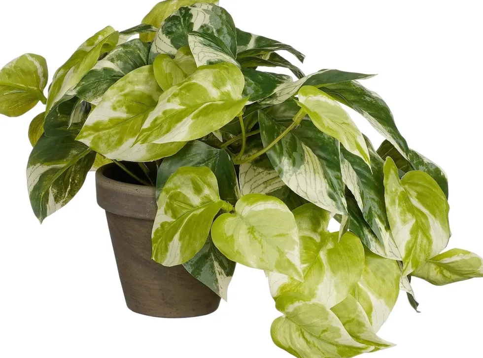Mica Decorations kunsthangplant Pothos H 80 cm