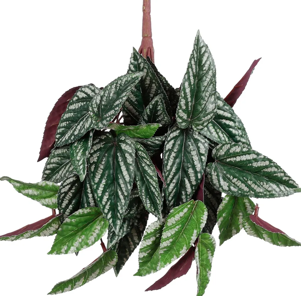 Mica Decorations kunsthangplant Cissus discolor H 80 cm