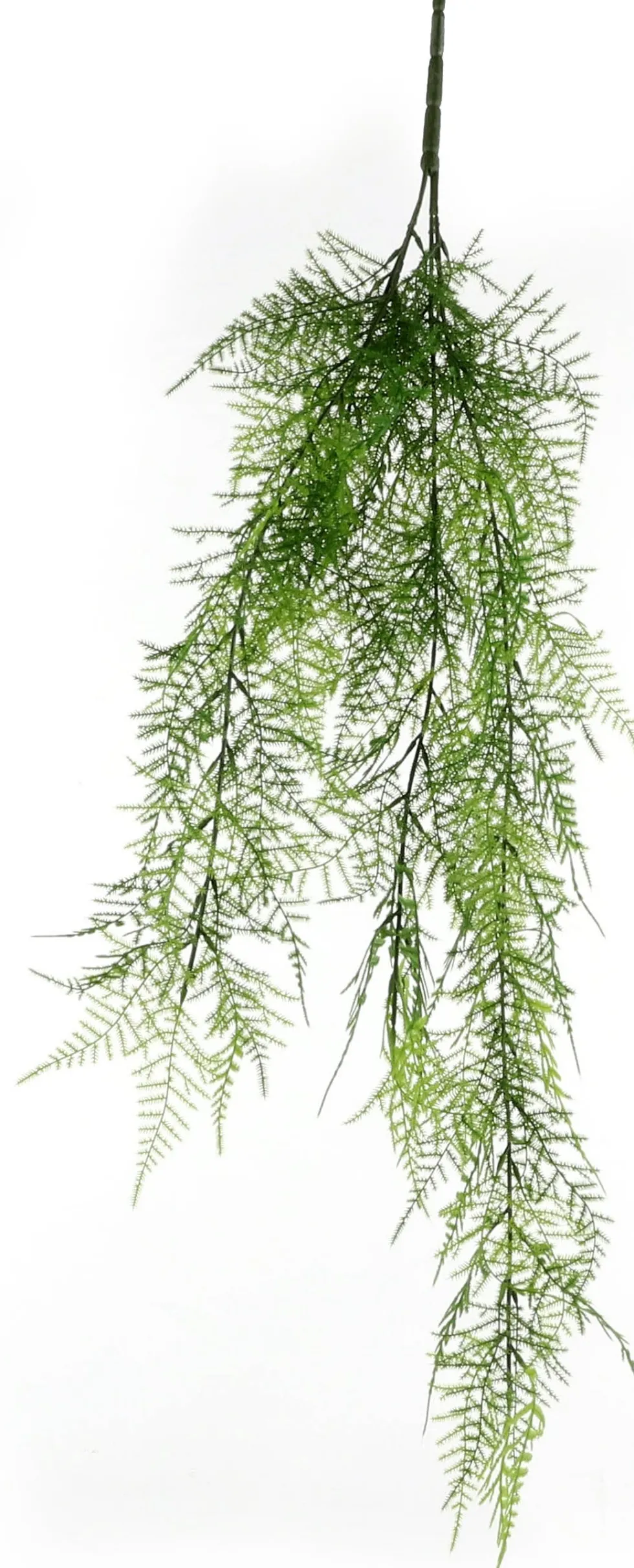 Mica Decorations kunsthangplant Sierasperge H 80 cm