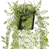 Mica Decorations kunsthangplant Venushaar H 47 cm
