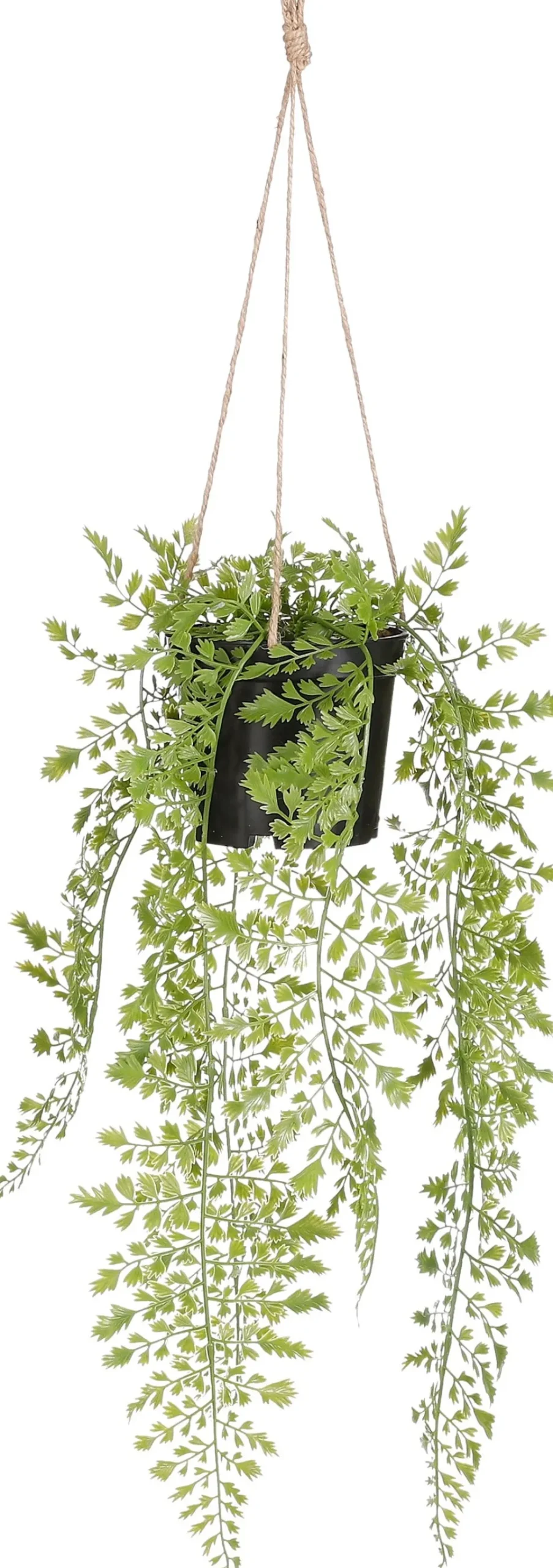 Mica Decorations kunsthangplant Venushaar H 47 cm