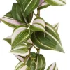 Mica Decorations kunsthangplant Vaderplant witbont H 180 cm