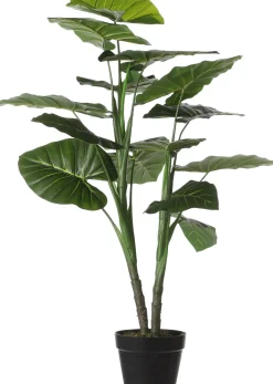 Mica Decorations kunstplant Olifantsoor H 100 cm