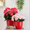 Mica Decorations kunstplant Begonia roze H 25 cm