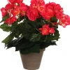 Mica Decorations kunstplant Begonia roze H 40 cm