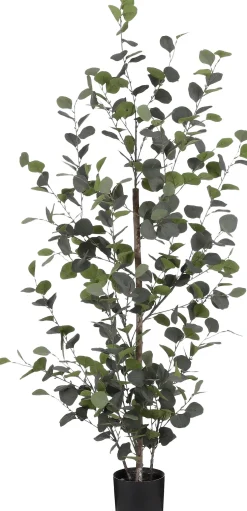 Mica Decorations kunstplant Eucalyptus H 150 cm