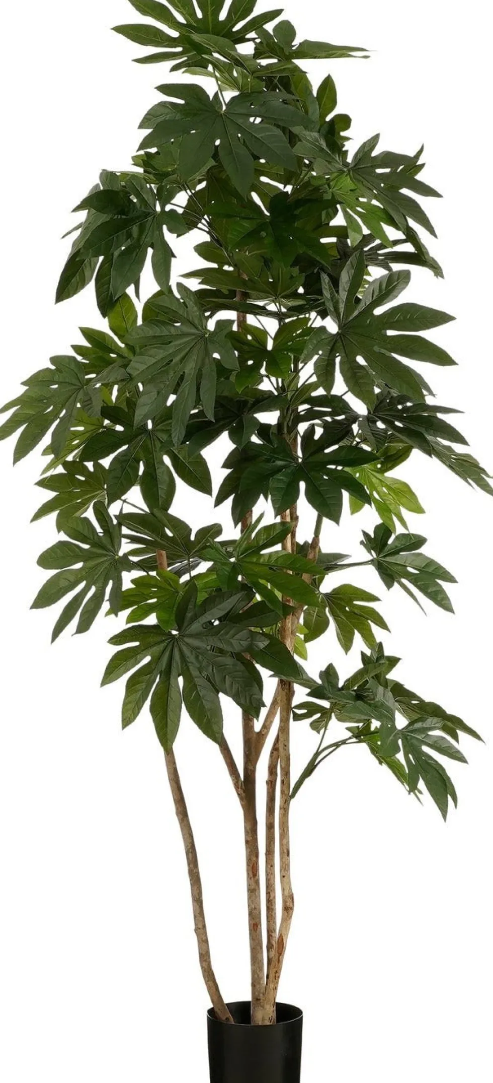 Mica Decorations kunstplant Vingersplant H 215 cm