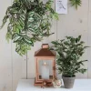 Mica Decorations kunstplant Rubberboom witbont H 40 cm