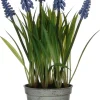 Mica Decorations kunstplant Blauw druifje blauw H 27 cm