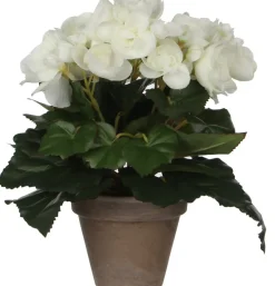 Mica Decorations kunstplant Begonia wit H 25 cm
