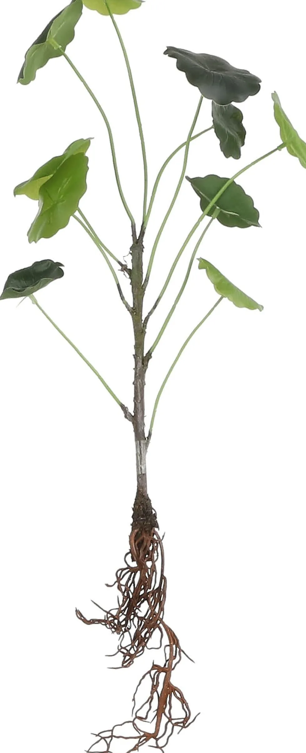 Mica Decorations kunstplant Lotus D H 40 cm