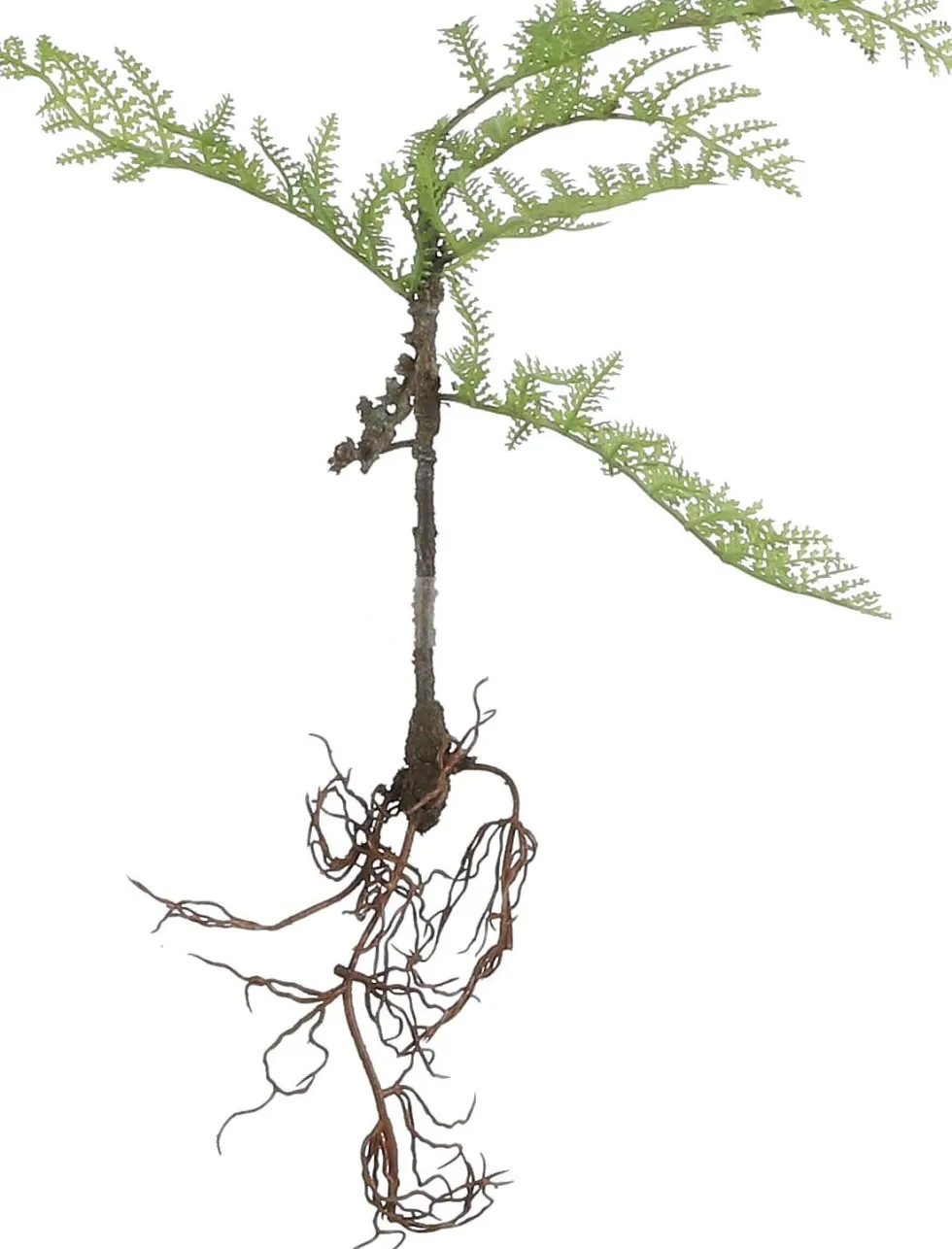 Mica Decorations kunstplant Varen D H 28 cm