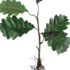 Mica Decorations kunstplant Eik D H 41 cm