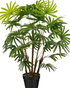 Mica Decorations kunstplant Rhaphis H 90 cm