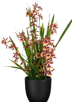 Mica Decorations kunstplant Orchidee rood H 58 cm
