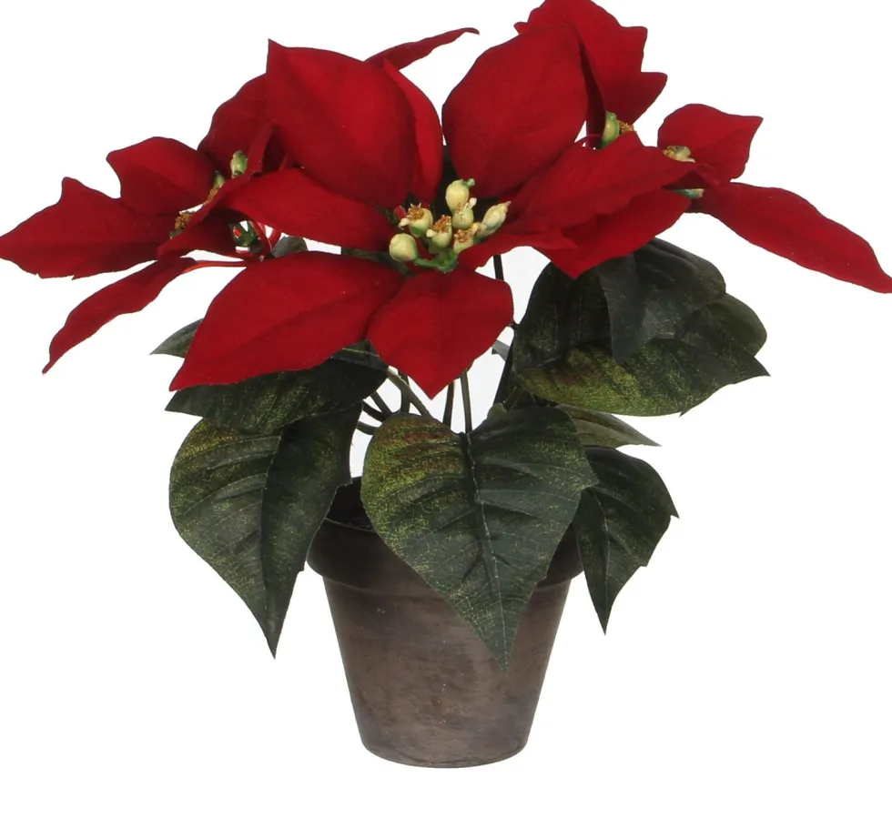 Mica Decorations kunstplant Kerstster rood H 25 cm