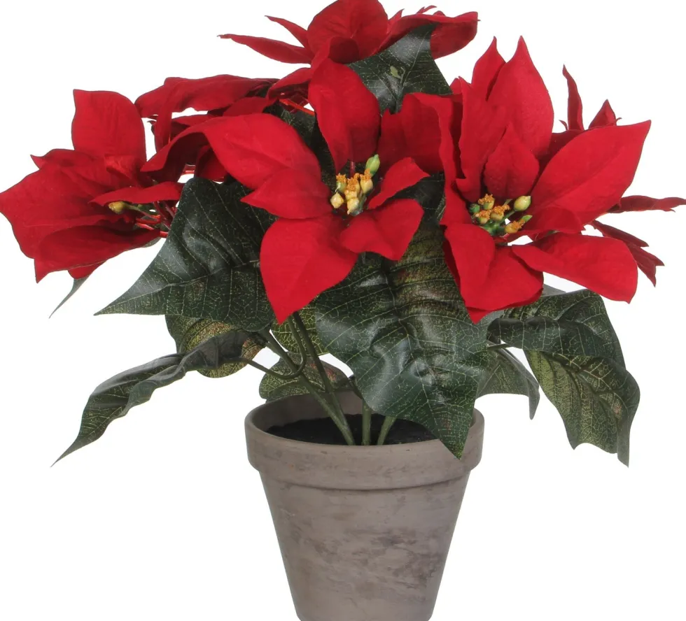 Mica Decorations kunstplant Kerstster rood H 30 cm