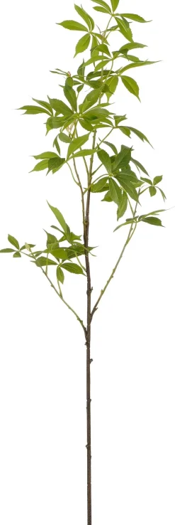 Mica Decorations kunsttak Cassave H 108 cm