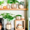 Mica Decorations waxinelichthouder groen D 10 H 10 cm
