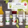 Monin cocktailset miniatuur