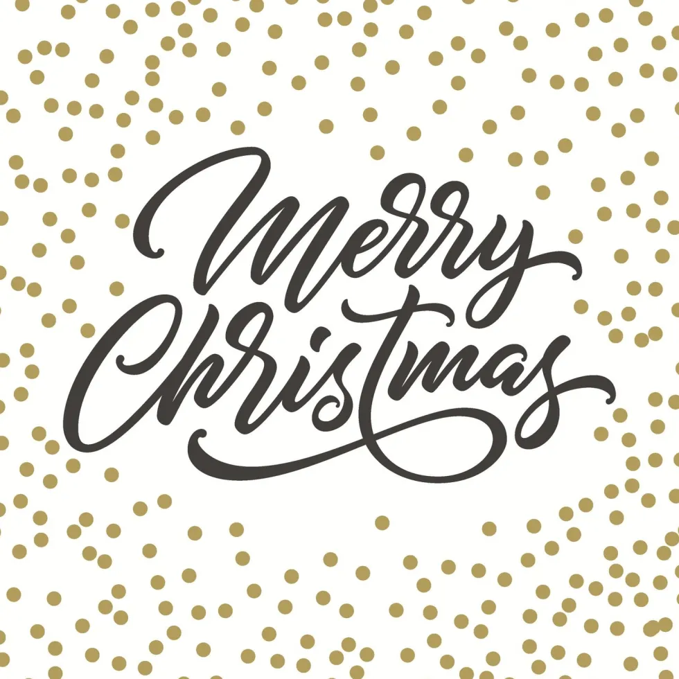 Paper + Design servet Merry Christmas wit 33 x 33 cm 20 stuks