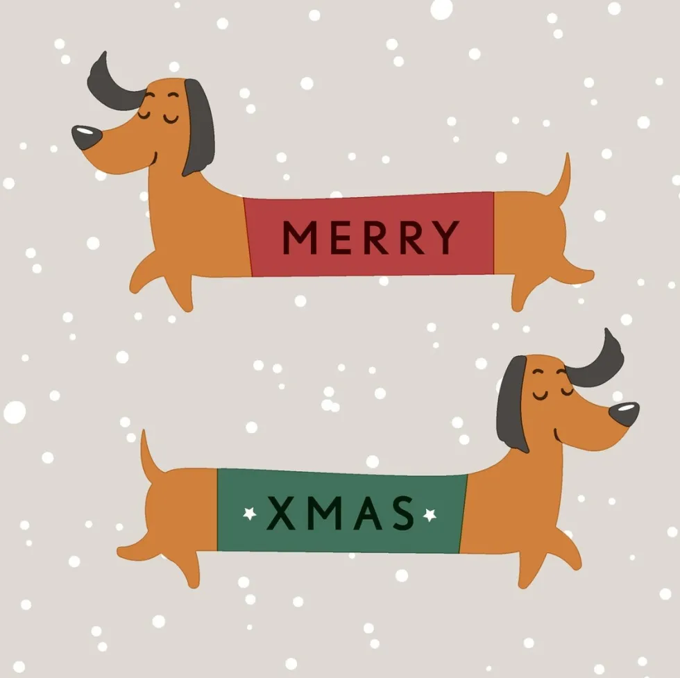 Paper + Design servet merry dachshund 33 x 33 cm 20 stuks