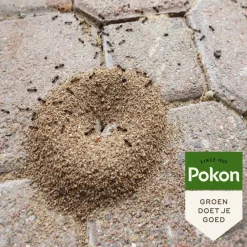 Pokon tegen mieren korrels 400 g