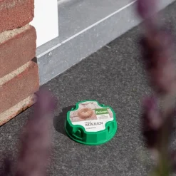 Pokon tegen mieren lokdoos 2 stuks