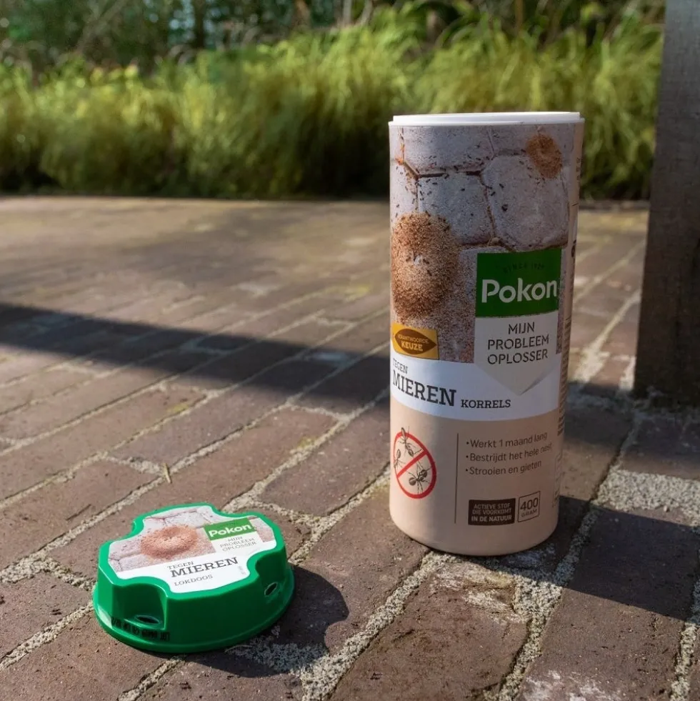 Pokon tegen mieren lokdoos 2 stuks