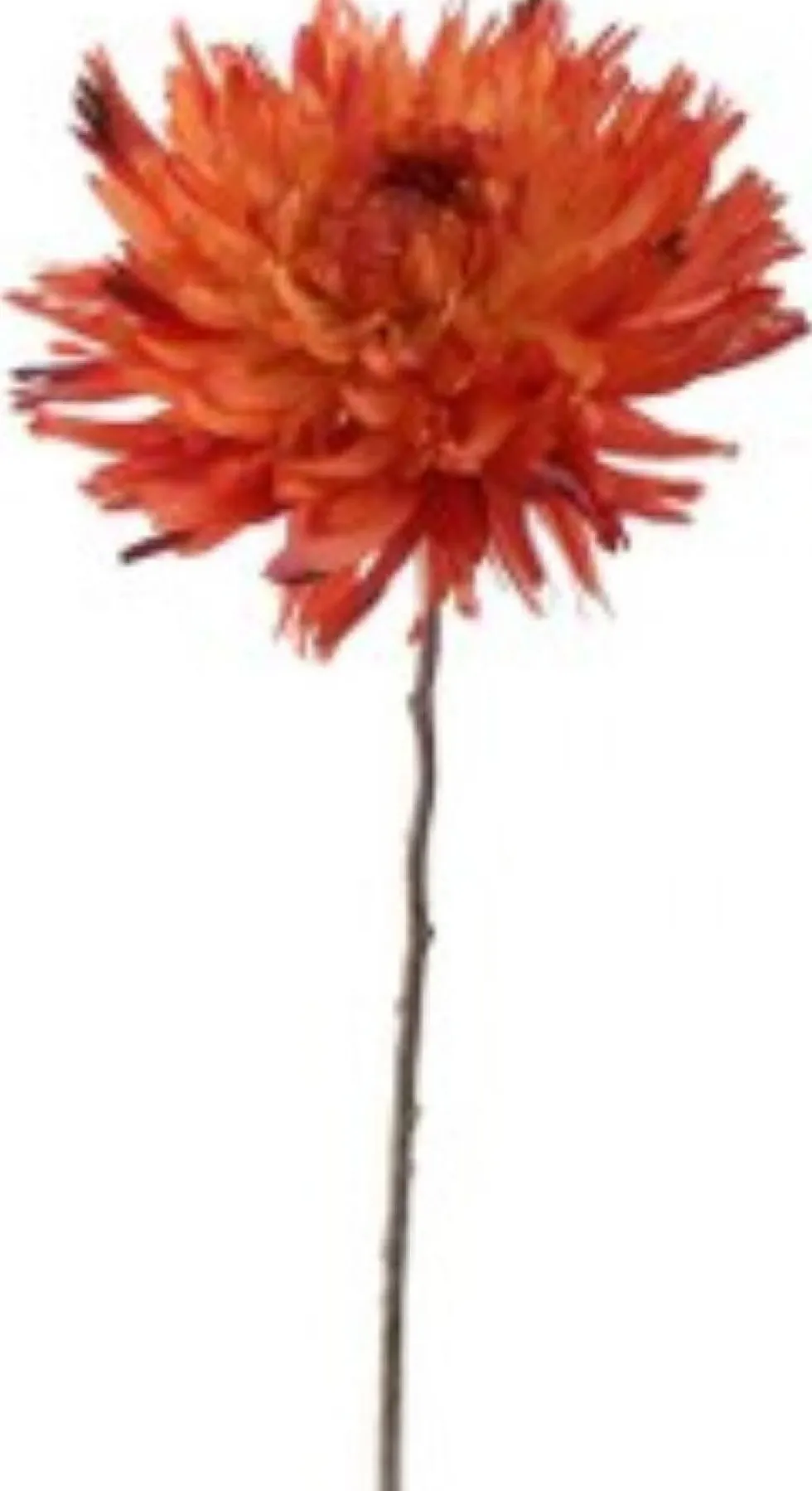 Pure kunstbloem Chrysant oranje H 56 cm