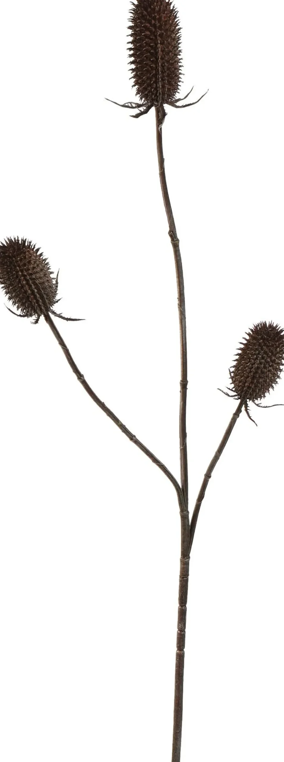 Pure kunstbloem Distel bruin H 99 cm