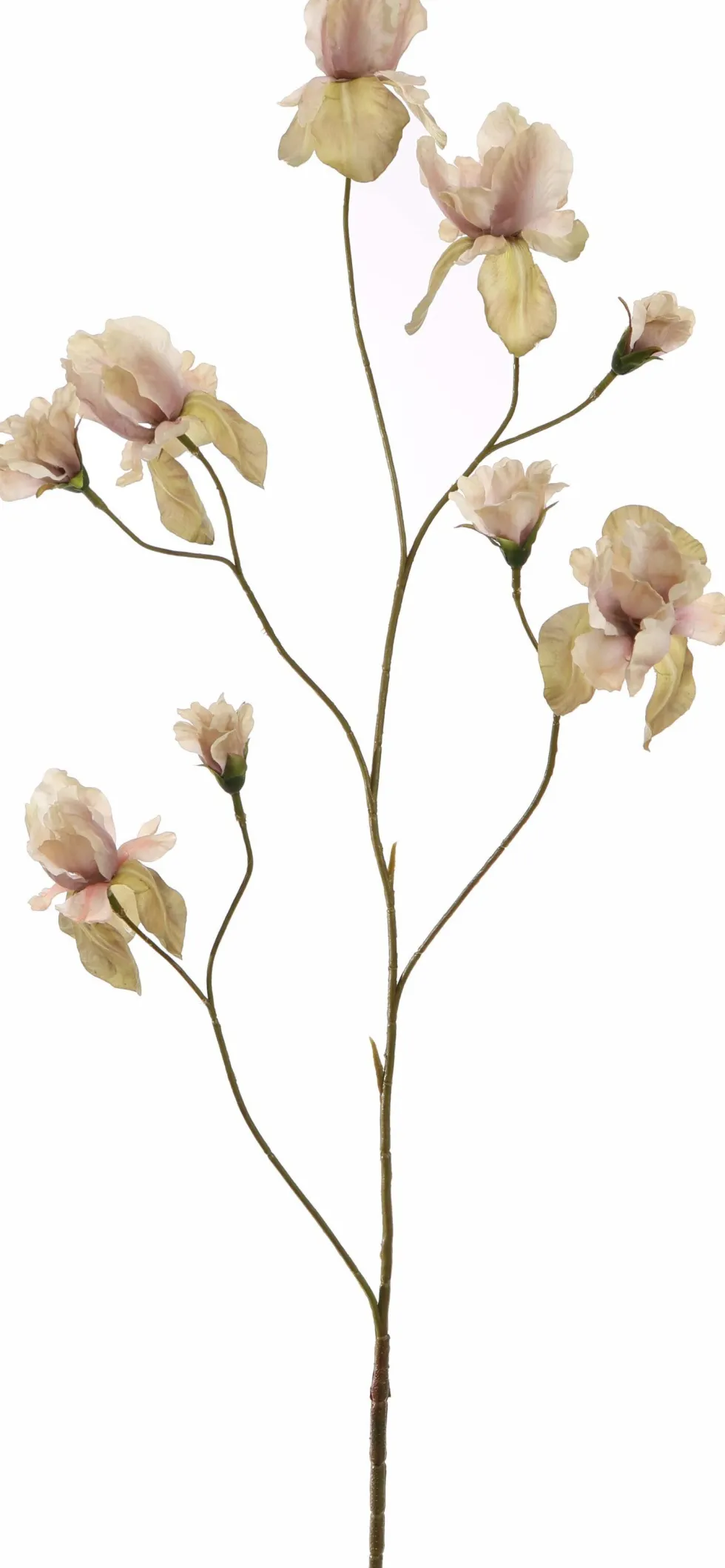 PURE kunstbloem Iris paars / groen 94 cm