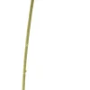 Pure kunstbloem Klaproos rood H 71 cm