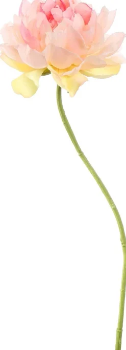 Pure kunstbloem Pioenroos roze / geel H 66 cm