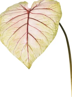 Pure kunsttak Caladium roze / groen H 113 cm