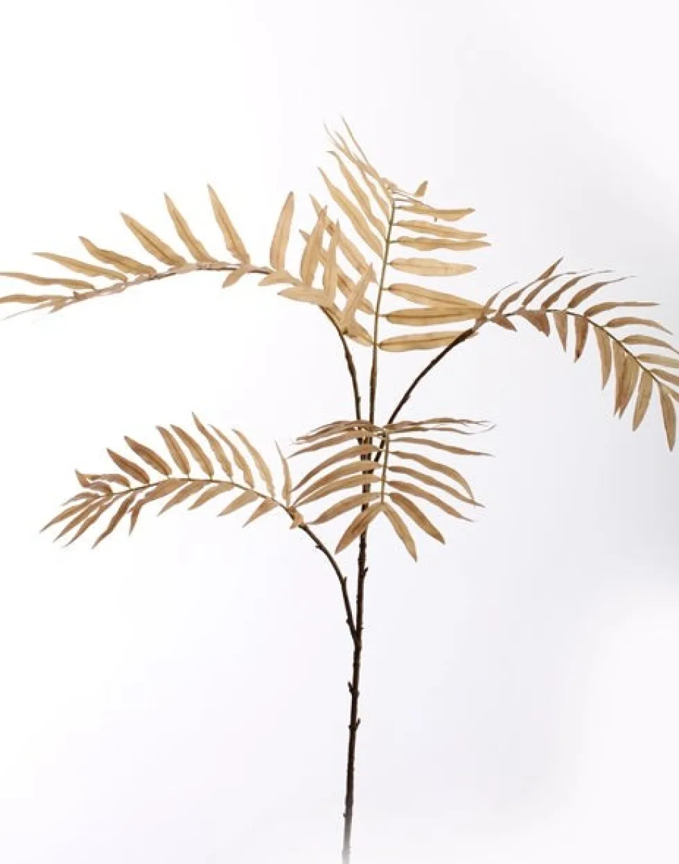 Pure kunsttak Palm bruin H 77 cm
